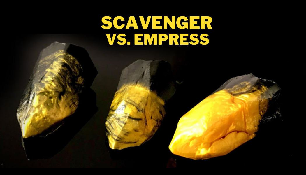 Scavenger Vs. Empress Crystal